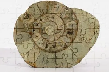 MARSU jigsaw puzzle