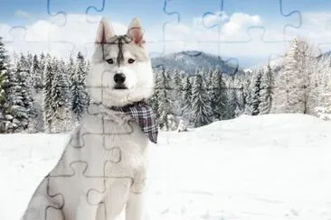 Lobo jigsaw puzzle