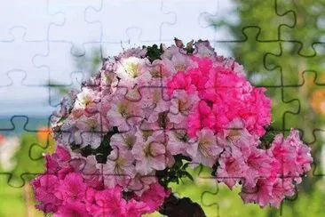 130 jigsaw puzzle