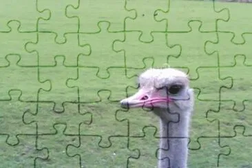 MARSU jigsaw puzzle