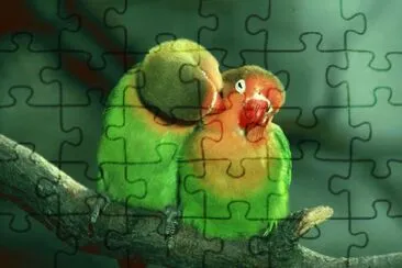 Loritos jigsaw puzzle