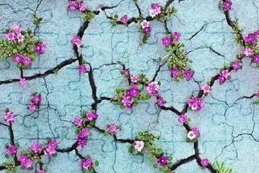 Grietas jigsaw puzzle