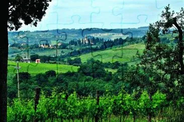 Heart of Chianti
