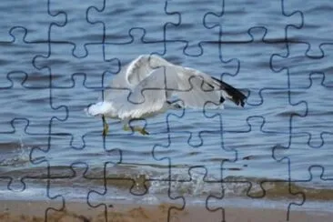 MARSU jigsaw puzzle