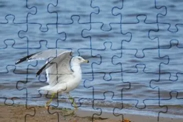 MARSU jigsaw puzzle