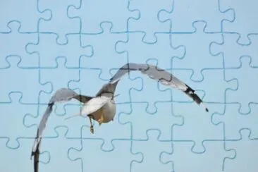 MARSU jigsaw puzzle