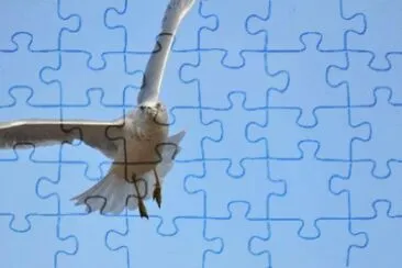 MARSU jigsaw puzzle