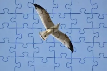 MARSU jigsaw puzzle