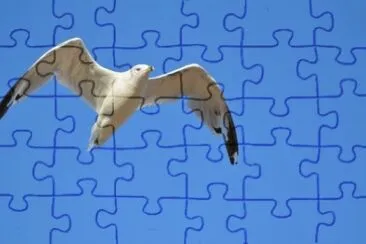 MARSU jigsaw puzzle