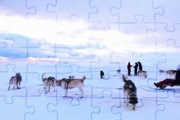 MARSU jigsaw puzzle