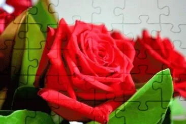  jigsaw puzzle