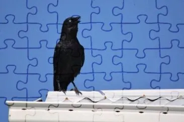 MARSU jigsaw puzzle