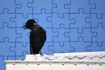 MARSU jigsaw puzzle