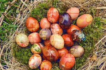 oeufs