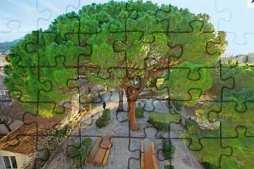 MARSU jigsaw puzzle