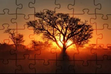 MARSU jigsaw puzzle