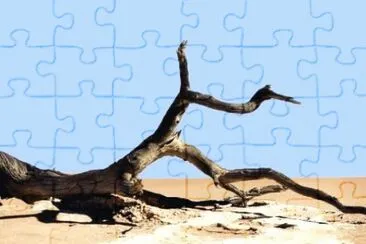 MARSU jigsaw puzzle