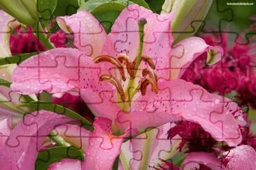 Flores jigsaw puzzle