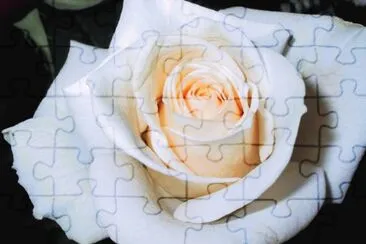 u jigsaw puzzle
