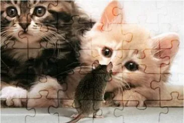 GATO E RATO jigsaw puzzle