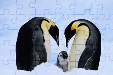 MARSU jigsaw puzzle