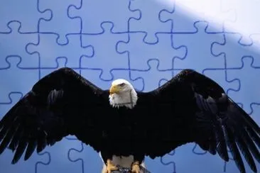 MARSU jigsaw puzzle