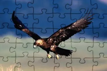 MARSU jigsaw puzzle