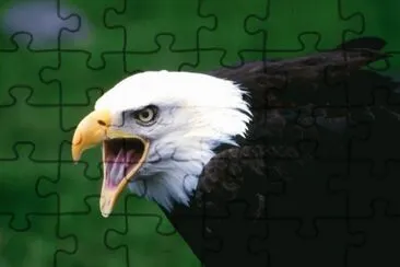 MARSU jigsaw puzzle