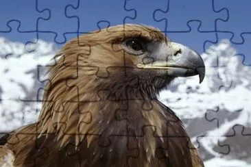 MARSU jigsaw puzzle