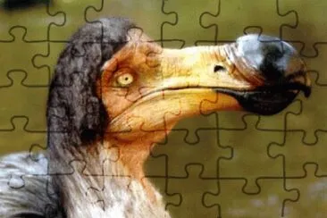 MARSU jigsaw puzzle