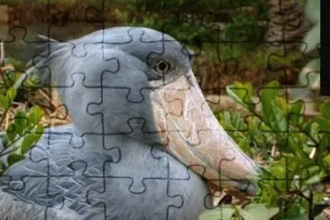 פאזל של MARSU