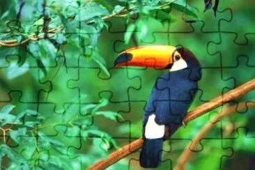 MARSU jigsaw puzzle