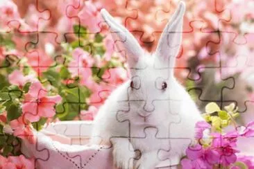 MARSU jigsaw puzzle