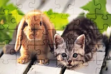MARSU jigsaw puzzle