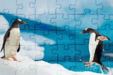 MARSU jigsaw puzzle