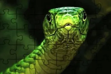 MARSU jigsaw puzzle