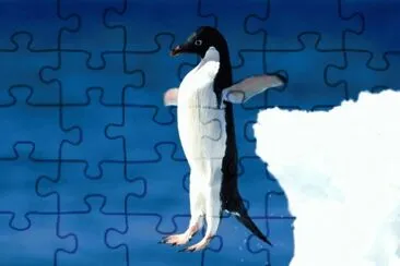MARSU jigsaw puzzle