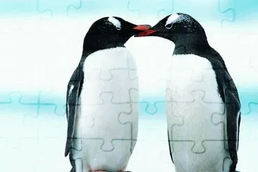 MARSU jigsaw puzzle