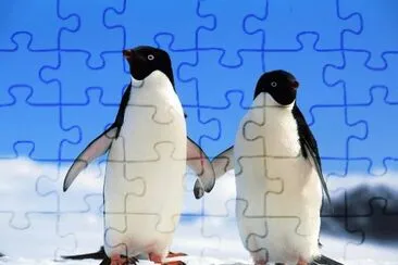 MARSU jigsaw puzzle