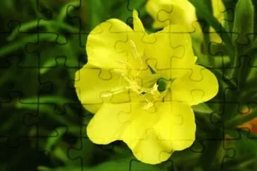MARSU jigsaw puzzle