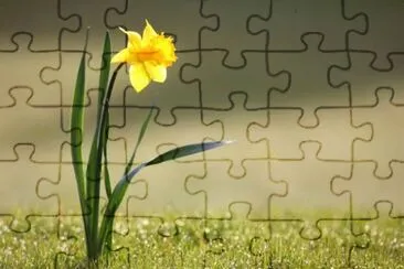  jigsaw puzzle