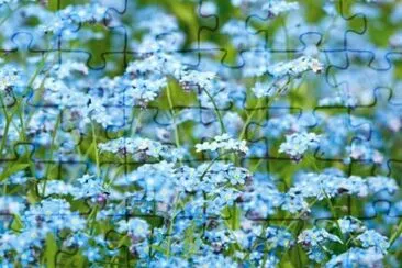  jigsaw puzzle