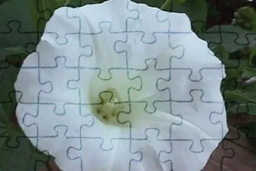MARSU jigsaw puzzle
