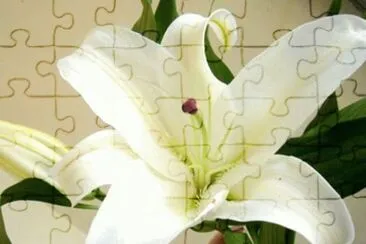 MARSU jigsaw puzzle