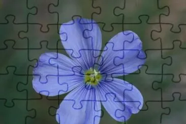 MARSU jigsaw puzzle