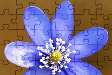 MARSU jigsaw puzzle