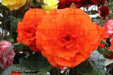 MARSU jigsaw puzzle