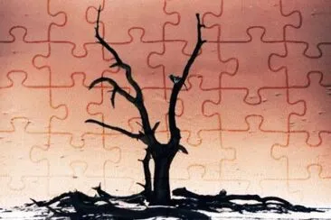 MARSU jigsaw puzzle