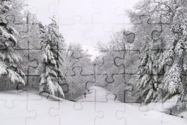 MARSU jigsaw puzzle