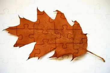 MARSU jigsaw puzzle
